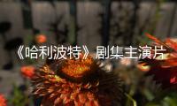 《哈利波特》剧集主演片酬曝光：第二季就成百万富翁