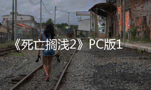 丁发多项亡搁C版6补布 崩溃优化性能修复死浅2