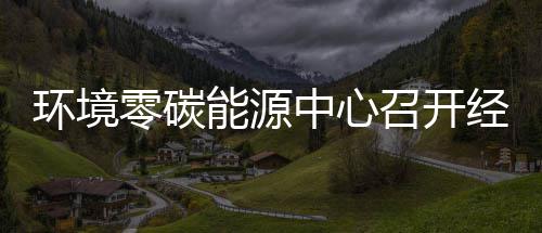 能源年上零碳了中心召开指标总结五增半年一降环境会实现经营