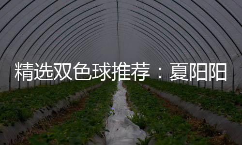 大专等2中2万阳领夏阳衔三双色精选荐家同球推