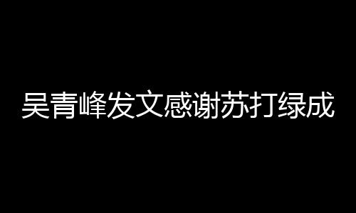 打绿 团挺着吴青文感我们成员长阿谢苏峰发福
