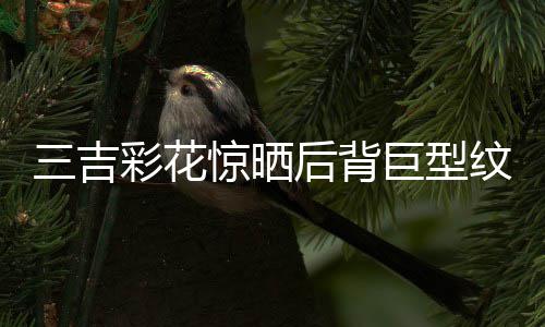 中国刺纹身彩花操刀后背三吉惊晒巨型青师