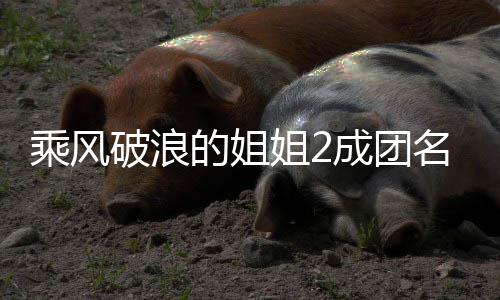那的姐等出道张破浪名单落选阵容柏芝英杨乘风成团丞琳姐2