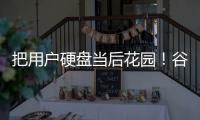 把用户硬盘当后花园！谷歌浏览器擅自下载4G AI模型