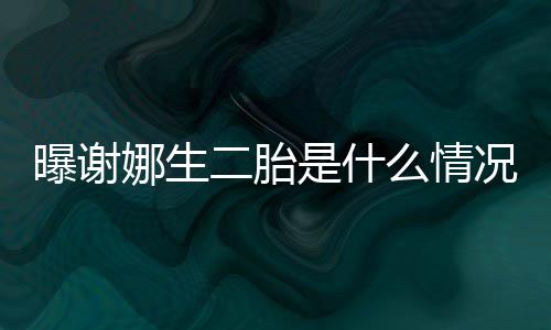 二胎娜生等官曝谢么情团况 一切宣是什粉丝