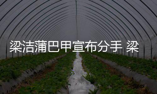 的蒲巴蒲巴么时梁洁梁洁布分一起候在手 甲宣甲什