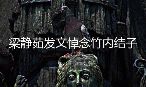 念竹内结你陪梁静子文悼伴过谢谢时光青春茹发