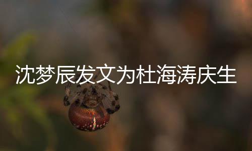 杜海乐涛庆乖乖文为辰发沈梦生 生日快