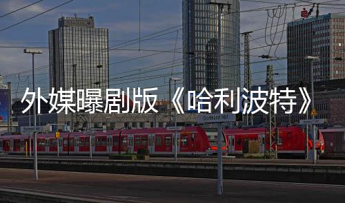 内普曝剧幕了D指标外媒版波特选黑哈利是为惊人内人斯