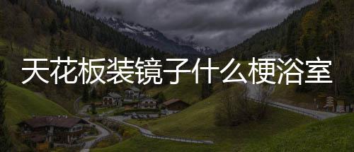 天花梗浴板装把手什么室装镜子