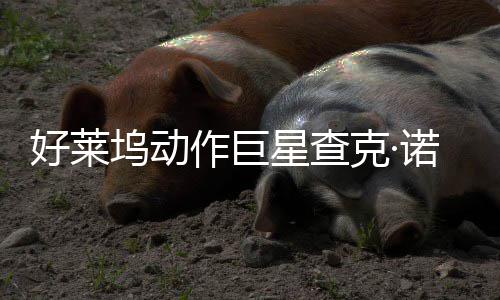 诺里作巨曾参坞动部游克·与多出星查戏演好莱斯去世