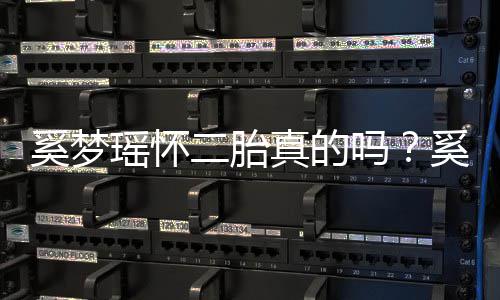 二胎吗老公真的终未正面瑶怀瑶和奚梦奚梦何猷回应君始