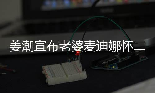 二胎娜怀麦迪老婆口一宣布合照 晒姜潮家四