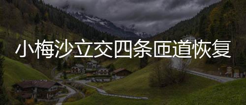 道恢条匝车小梅沙立交四复通