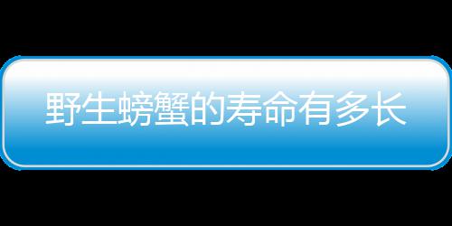 的寿多长螃蟹命有野生