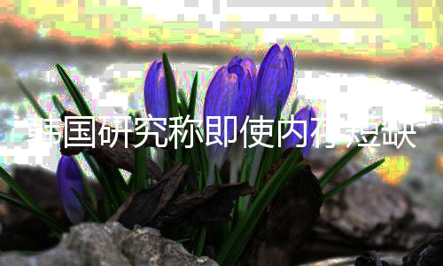内存研究也不称即存短韩国会下使内解 价格降缺缓
