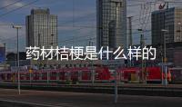 药材桔梗是什么样的