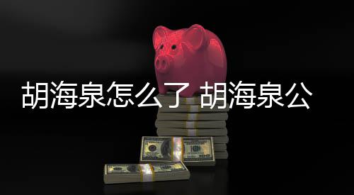 么了制执公司万元被强行约胡海 胡海泉泉怎