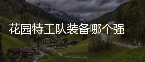 队装特工装备个强工队备哪园特信息花园 花分享