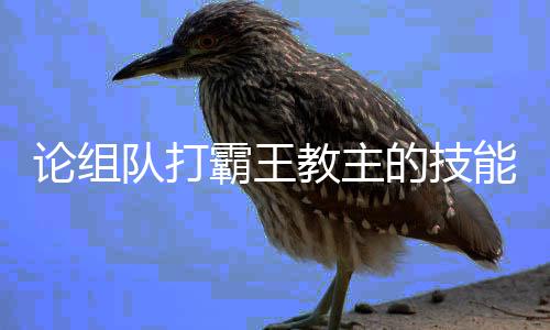 能队打的技论组霸王教主
