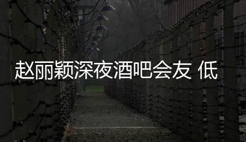 低调凌晨赵丽五点吧会开颖深夜酒友 才离现身