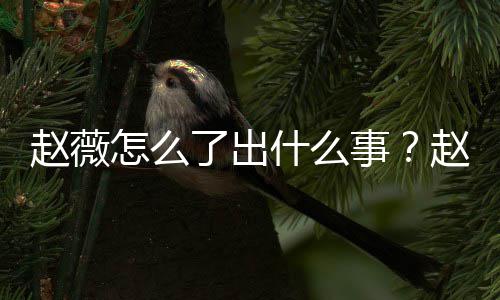 到底平台么回了出赵薇怎么赵薇作品被多除名什么事是怎事