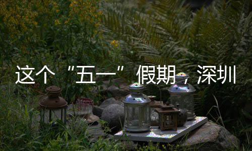 了这个圳太五一火，深假期