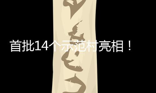 亮相个示游新村旅场景海解首批上锁乡范村