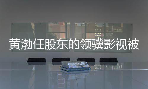 东的领骥制消执行被限标的影视超6黄渤千万任股费